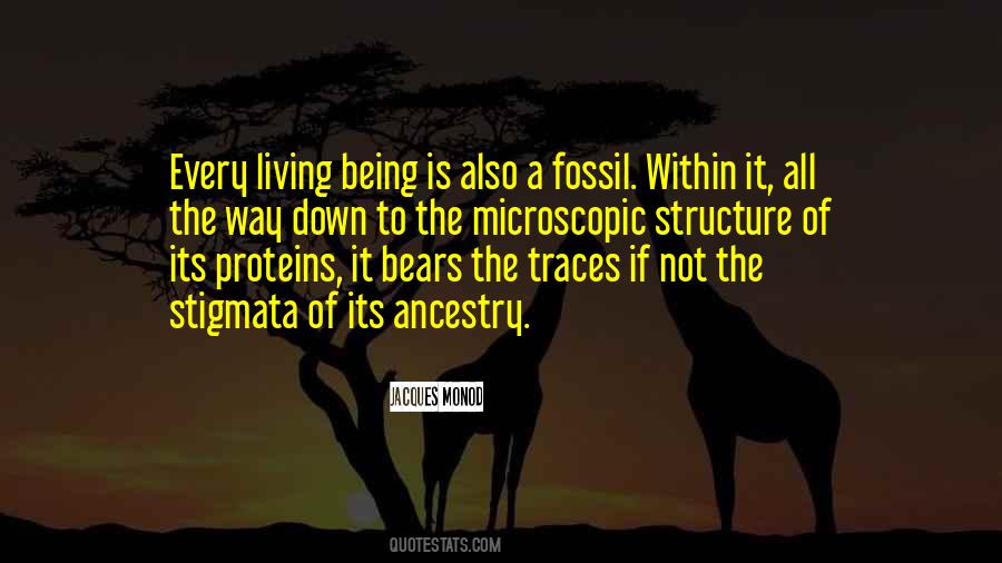 Quotes About Stigmata #1809767