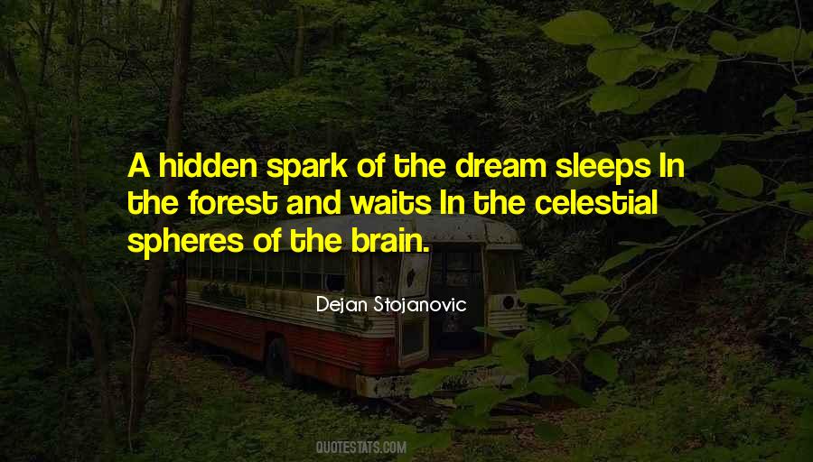 Dejan Stojanovic Quotes #292688