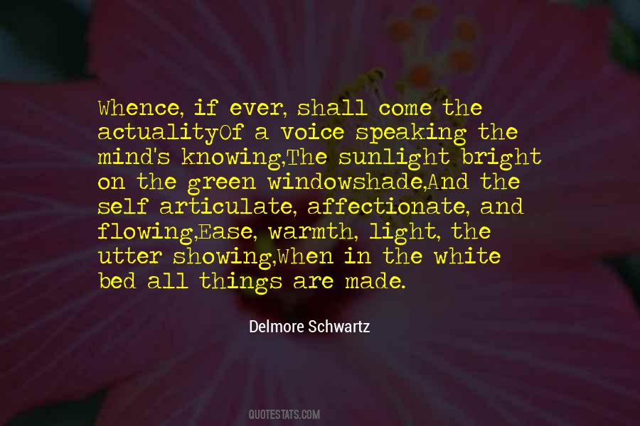 Delmore Schwartz Quotes #723049