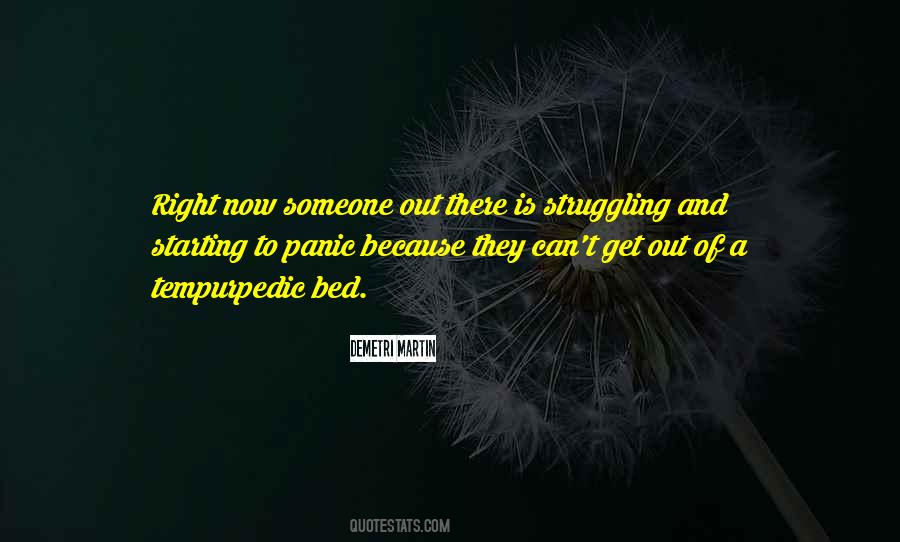 Demetri Martin Quotes #308479