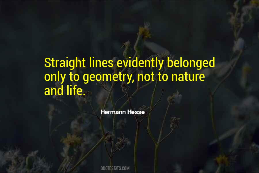 Quotes About Straight Lines #96723