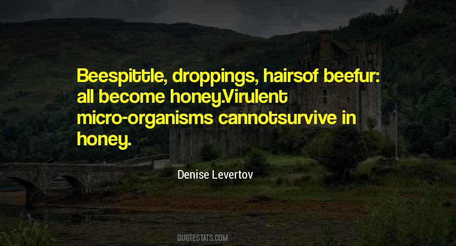 Denise Levertov Quotes #365020