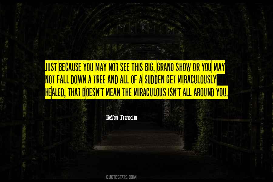 Devon Franklin Quotes #1638107