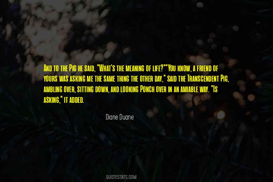 Diane Duane Quotes #923952