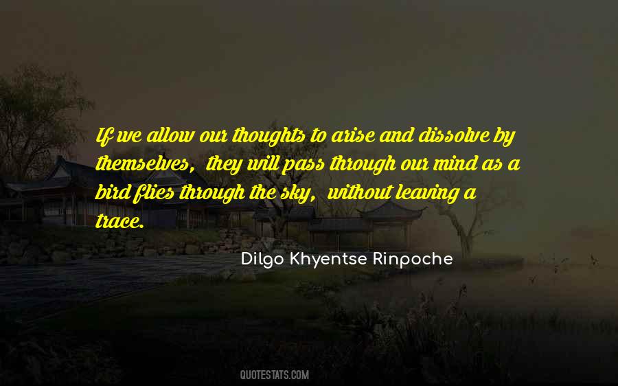 Dilgo Khyentse Quotes #1818700