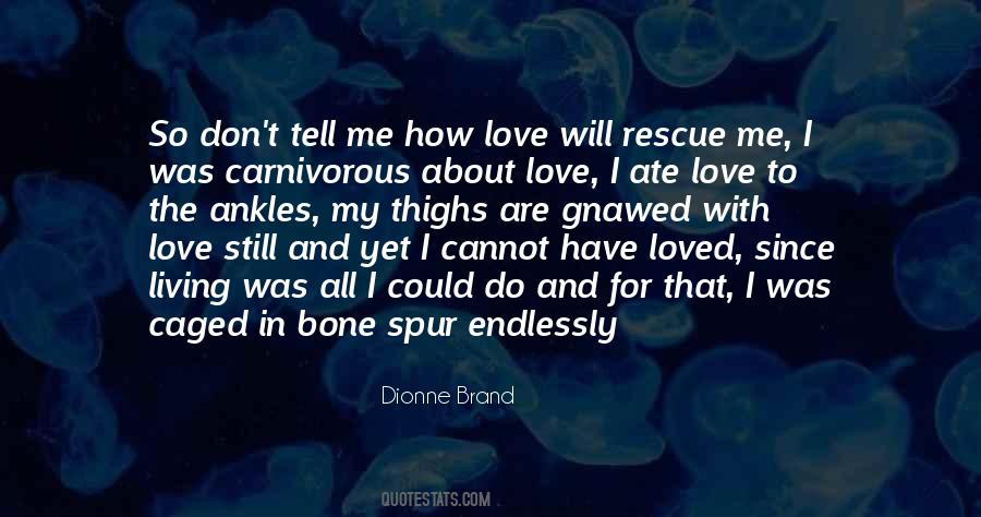 Dionne Brand Quotes #588764