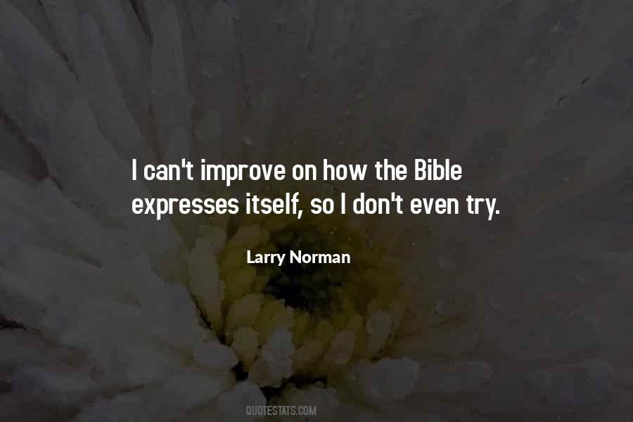 Don Norman Quotes #898454