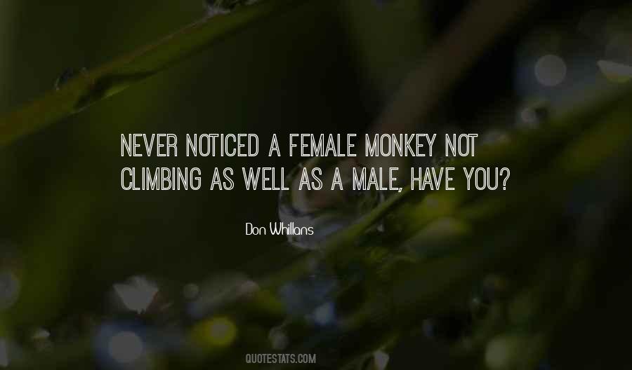 Don Whillans Quotes #709988
