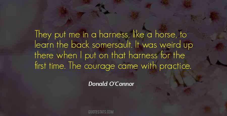 Donald O'connor Quotes #1571043