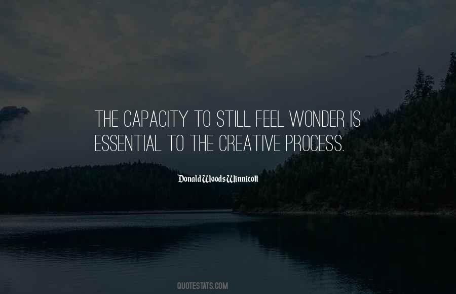 Donald Woods Winnicott Quotes #604635