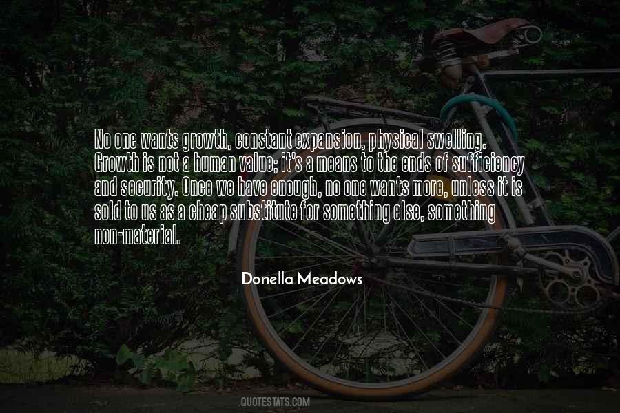 Donella Meadows Quotes #1267344