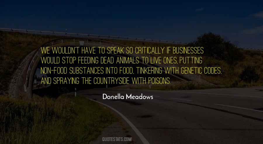 Donella Meadows Quotes #1305823