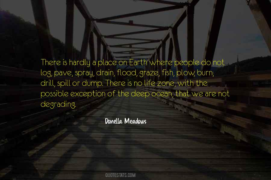 Donella Meadows Quotes #1596805