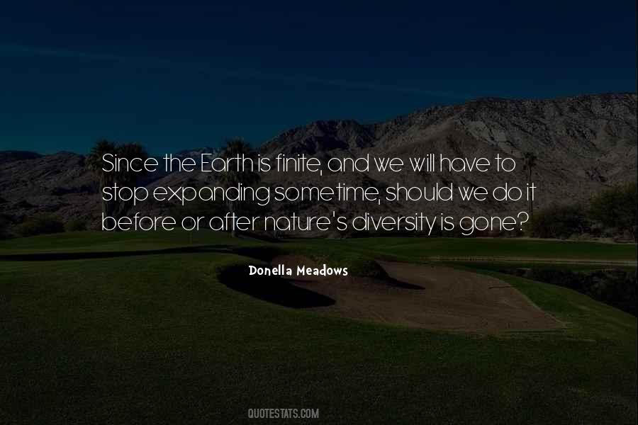 Donella Meadows Quotes #1602094