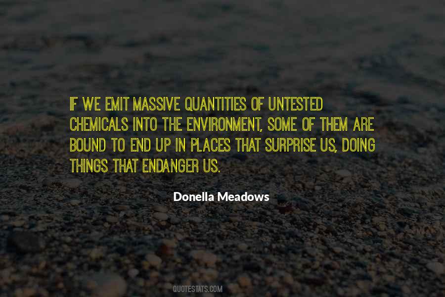 Donella Meadows Quotes #1644629