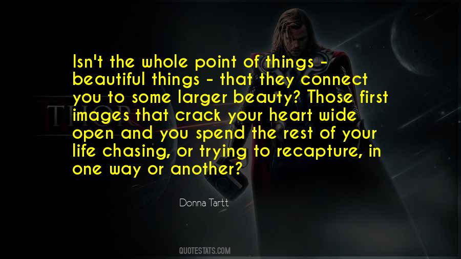 Donna Tartt Quotes #84300