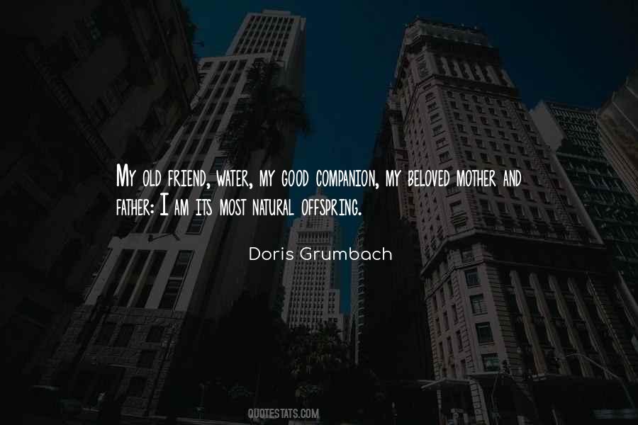 Doris Grumbach Quotes #578954