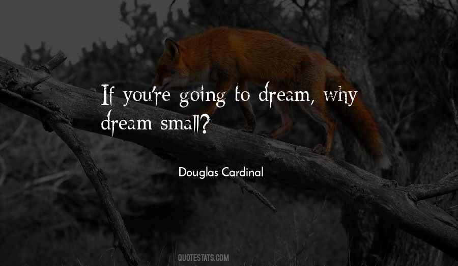 Douglas Cardinal Quotes #570644