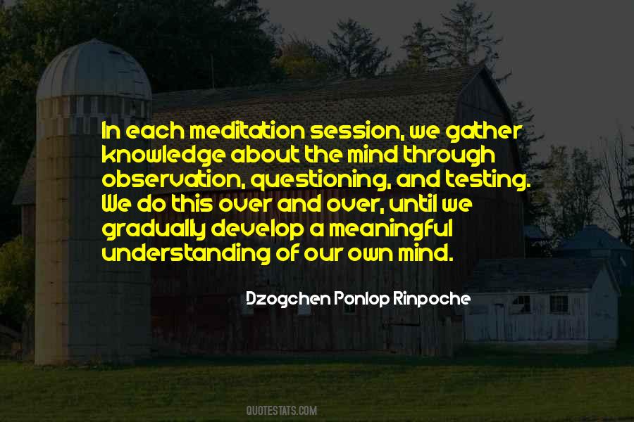 Dzogchen Ponlop Rinpoche Quotes #1013674