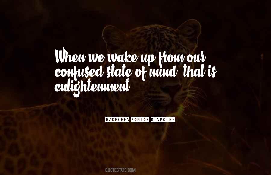 Dzogchen Ponlop Rinpoche Quotes #582343