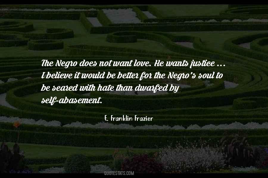 E Franklin Frazier Quotes #183114