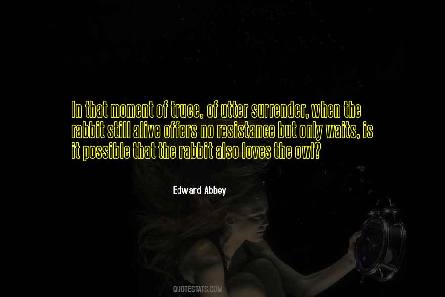 Edward Abbey Quotes #129334