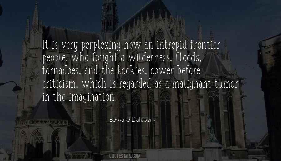 Edward Dahlberg Quotes #475267