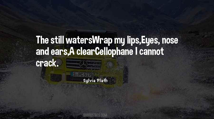 Quotes About Eyes Nose And Lips #1250200