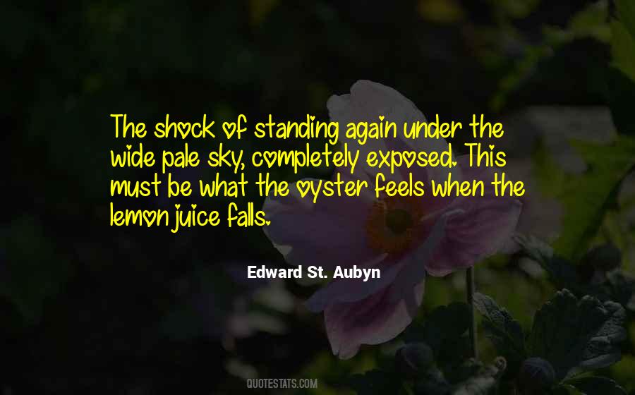 Edward St Aubyn Quotes #712962