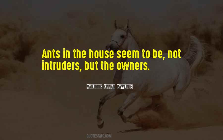 Quotes About Ants #1652375