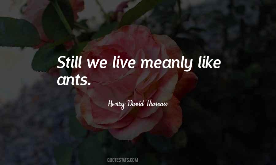 Quotes About Ants #1721962