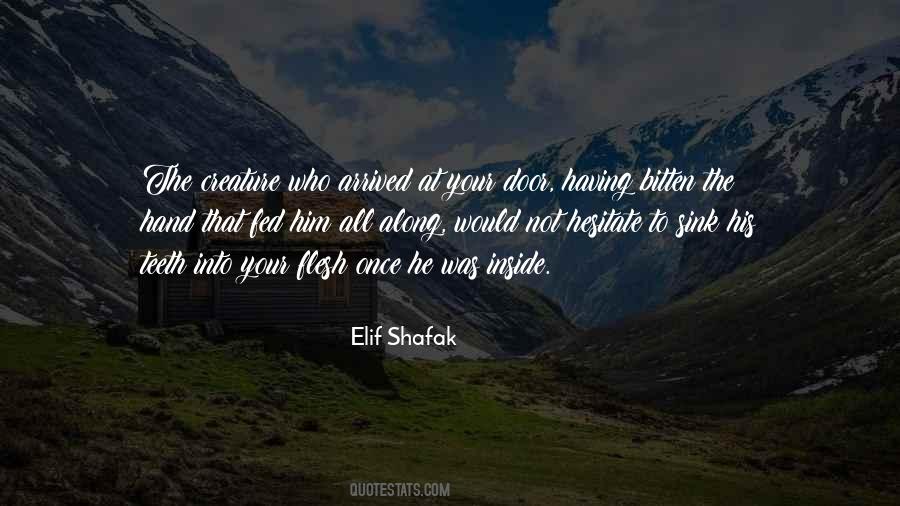 Elif Shafak Quotes #218098