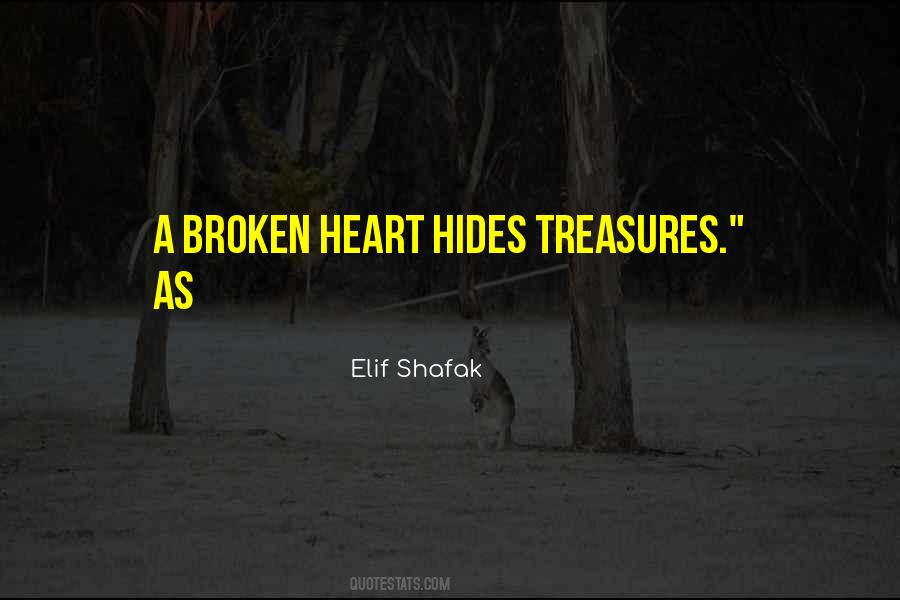 Elif Shafak Quotes #264323