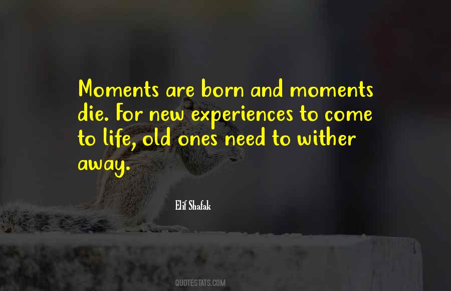 Elif Shafak Quotes #383629