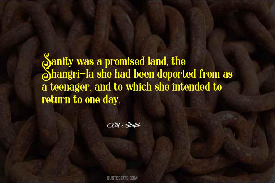 Elif Shafak Quotes #442709