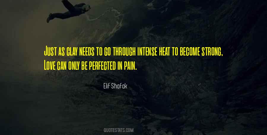 Elif Shafak Quotes #454735
