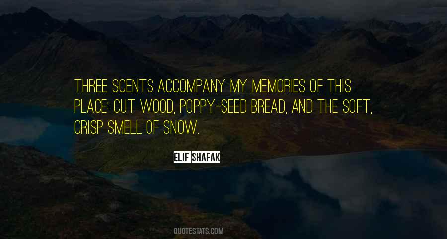 Elif Shafak Quotes #520237