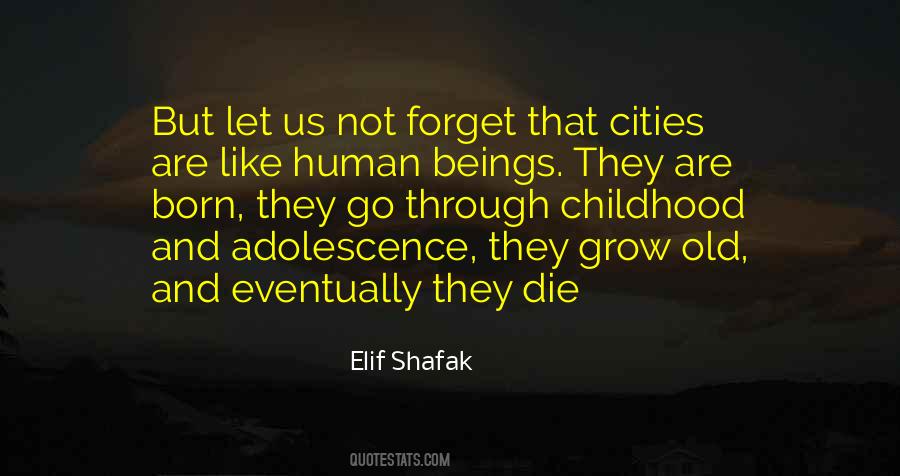 Elif Shafak Quotes #536965