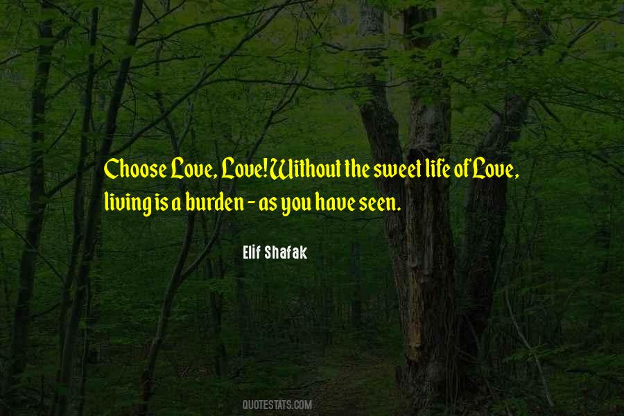 Elif Shafak Quotes #601389