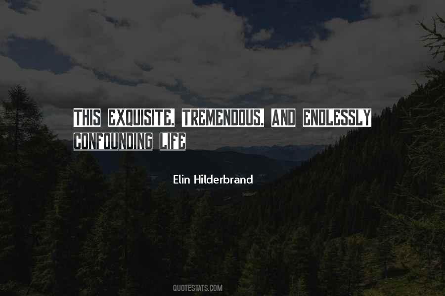 Elin Hilderbrand Quotes #637556