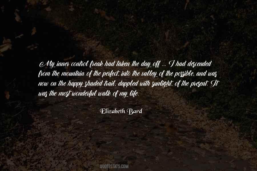 Elizabeth Bard Quotes #88713