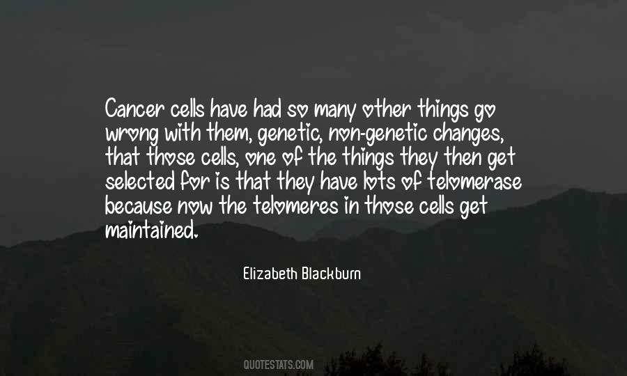 Elizabeth Blackburn Quotes #1686528