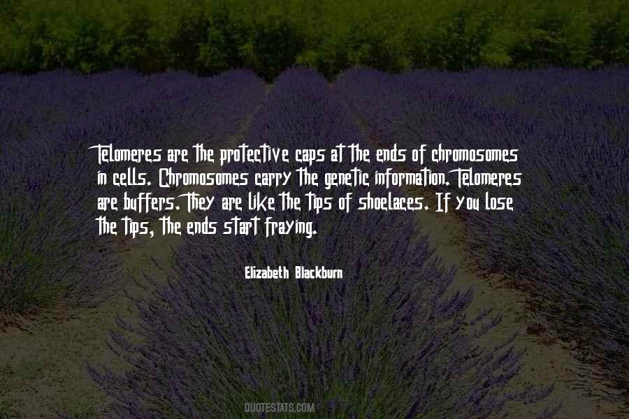 Elizabeth Blackburn Quotes #983912