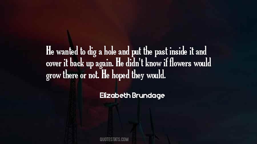 Elizabeth Brundage Quotes #1055274