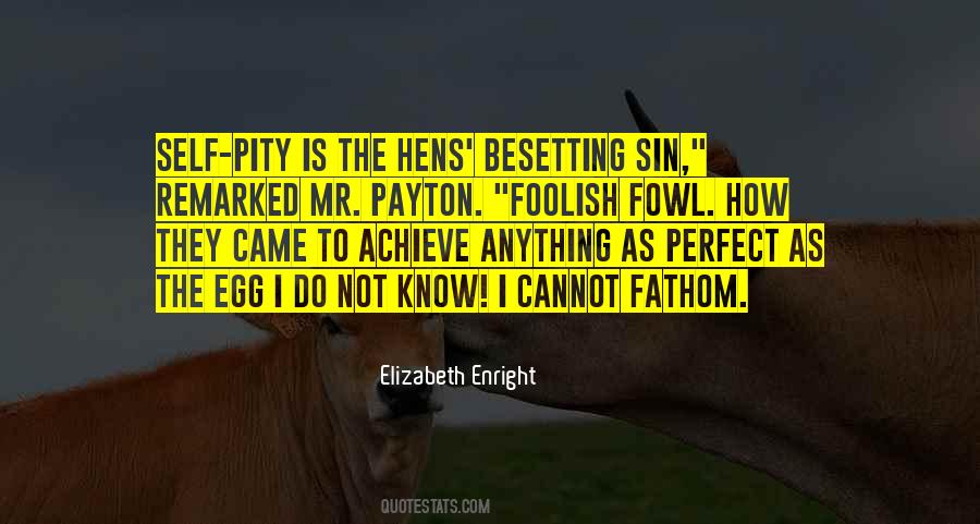 Elizabeth Enright Quotes #110134