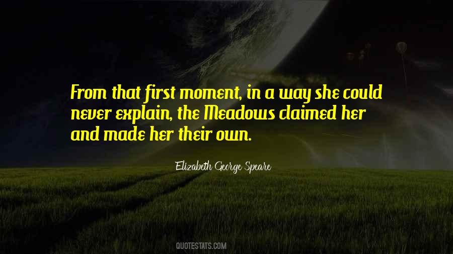 Elizabeth George Speare Quotes #1567168