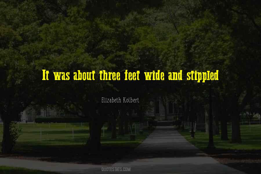 Elizabeth Kolbert Quotes #1495709