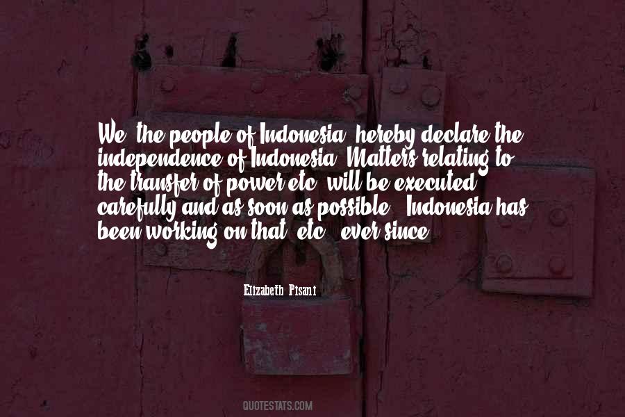 Elizabeth Pisani Quotes #1239129