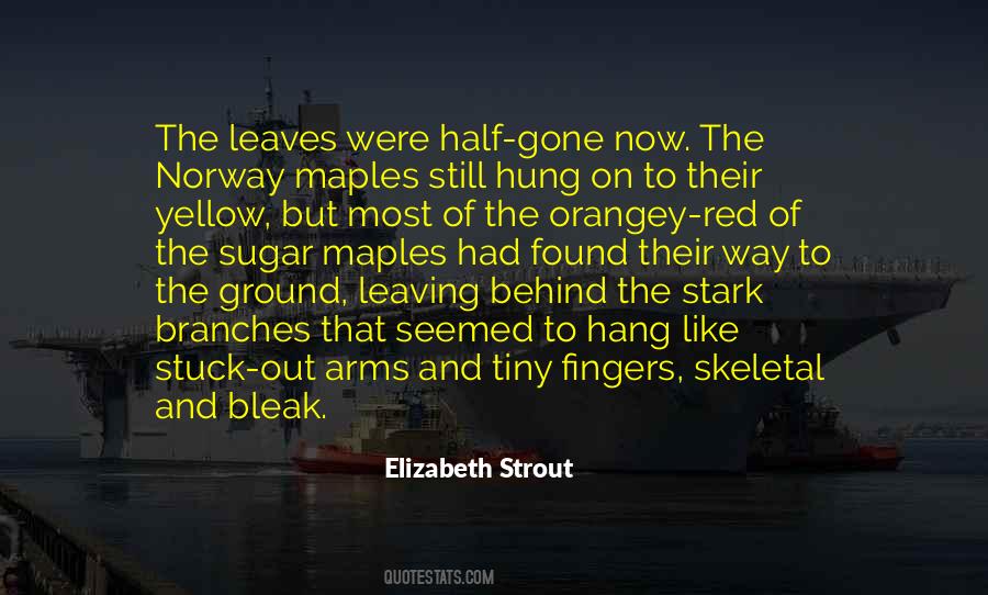 Elizabeth Strout Quotes #363306