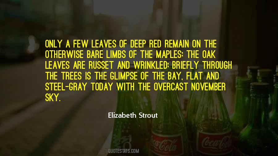 Elizabeth Strout Quotes #669320